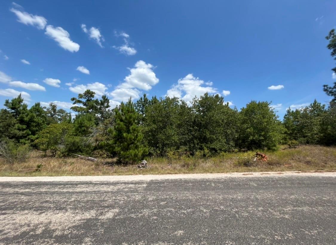 Tbd Pine Tree Loop Property Photo 9