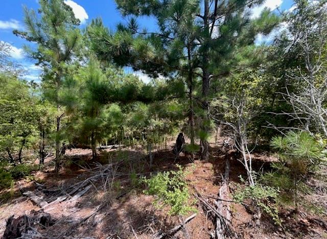 Tbd Pine Tree Loop Property Photo 10