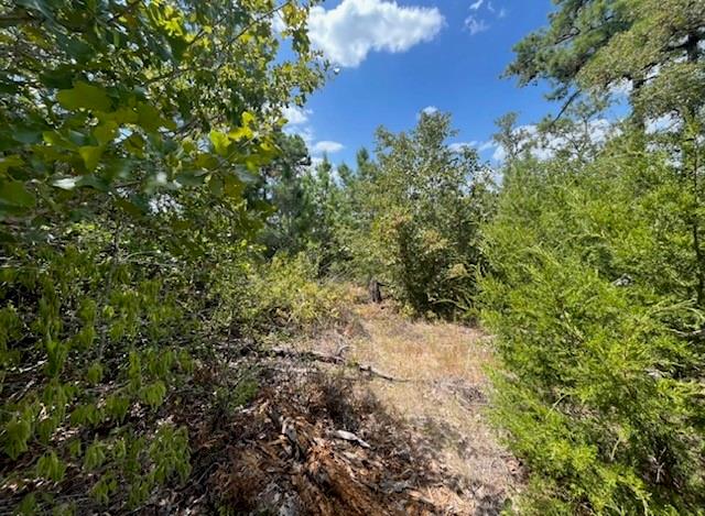 Tbd Pine Tree Loop Property Photo 11