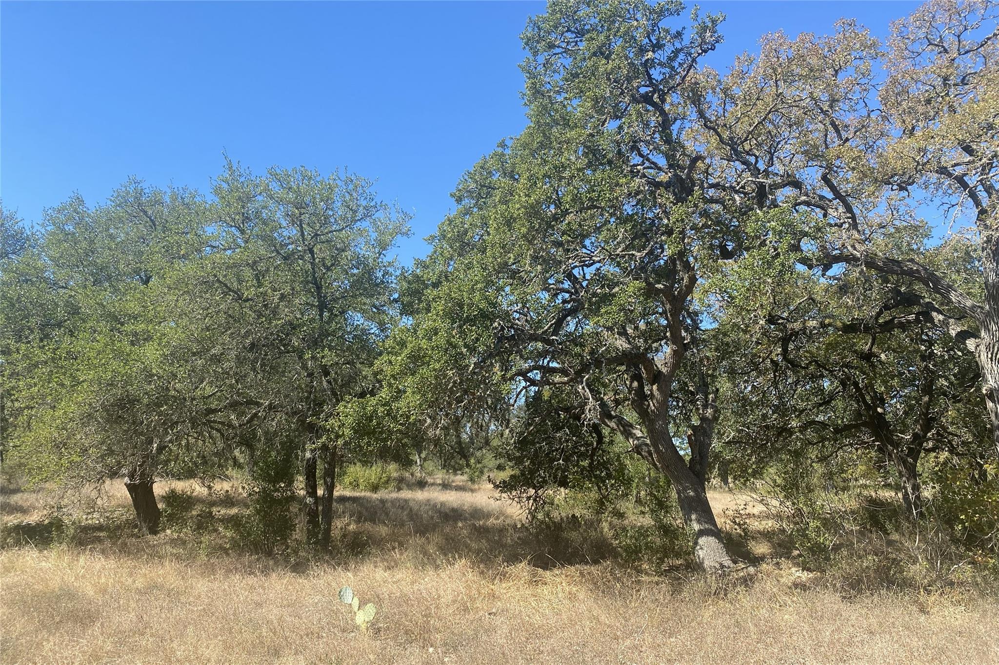 00 Spoke Hollow Rd Property Photo 3