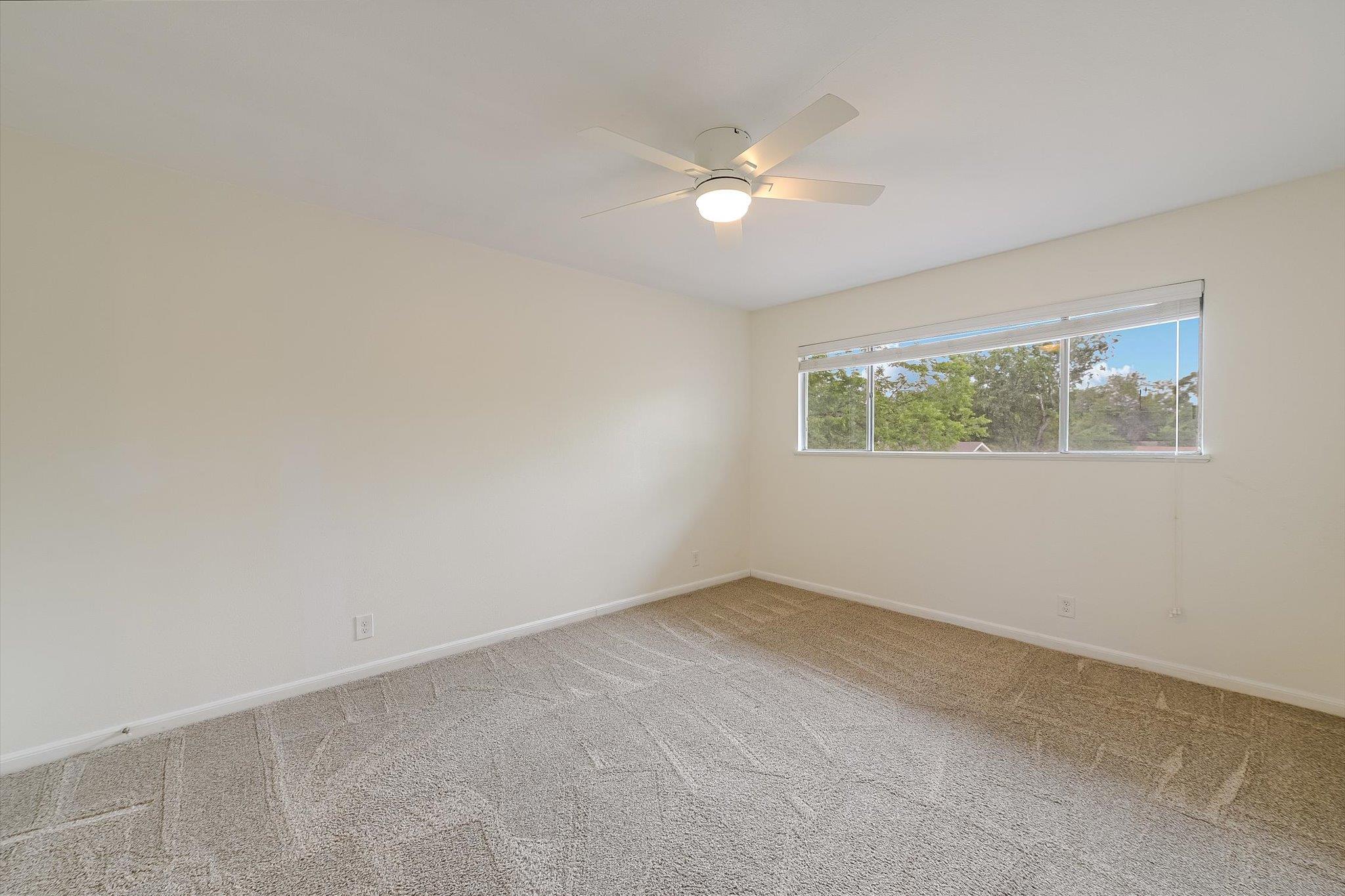 4904 Creekline Dr Property Photo 5