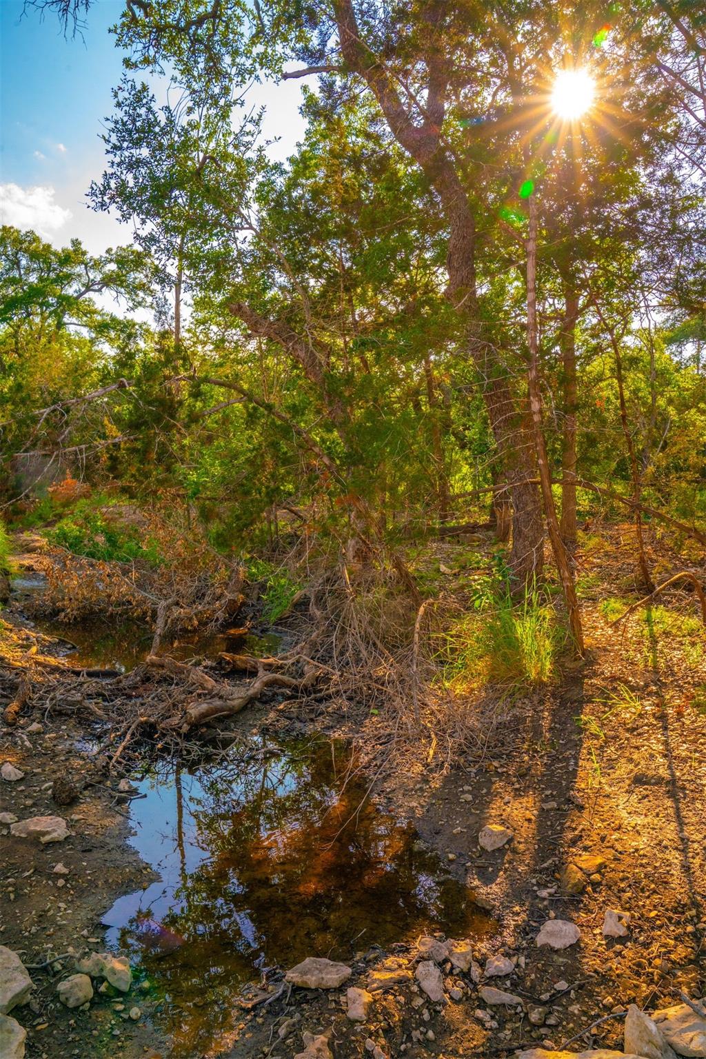 000 Winding Creek Rnch Property Photo 6