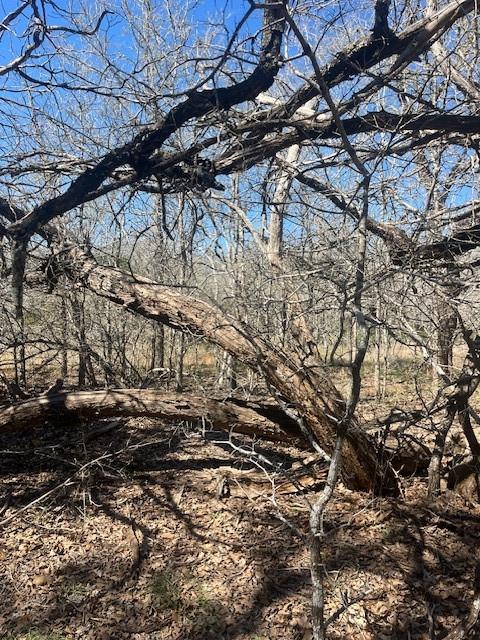 140 Heleakala Dr Property Photo 2