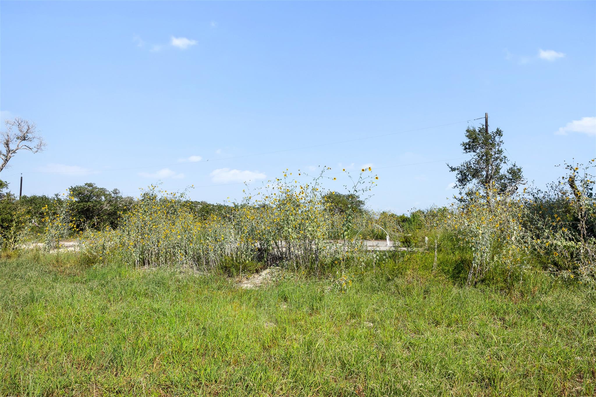 1601 Mathis St Property Photo 8