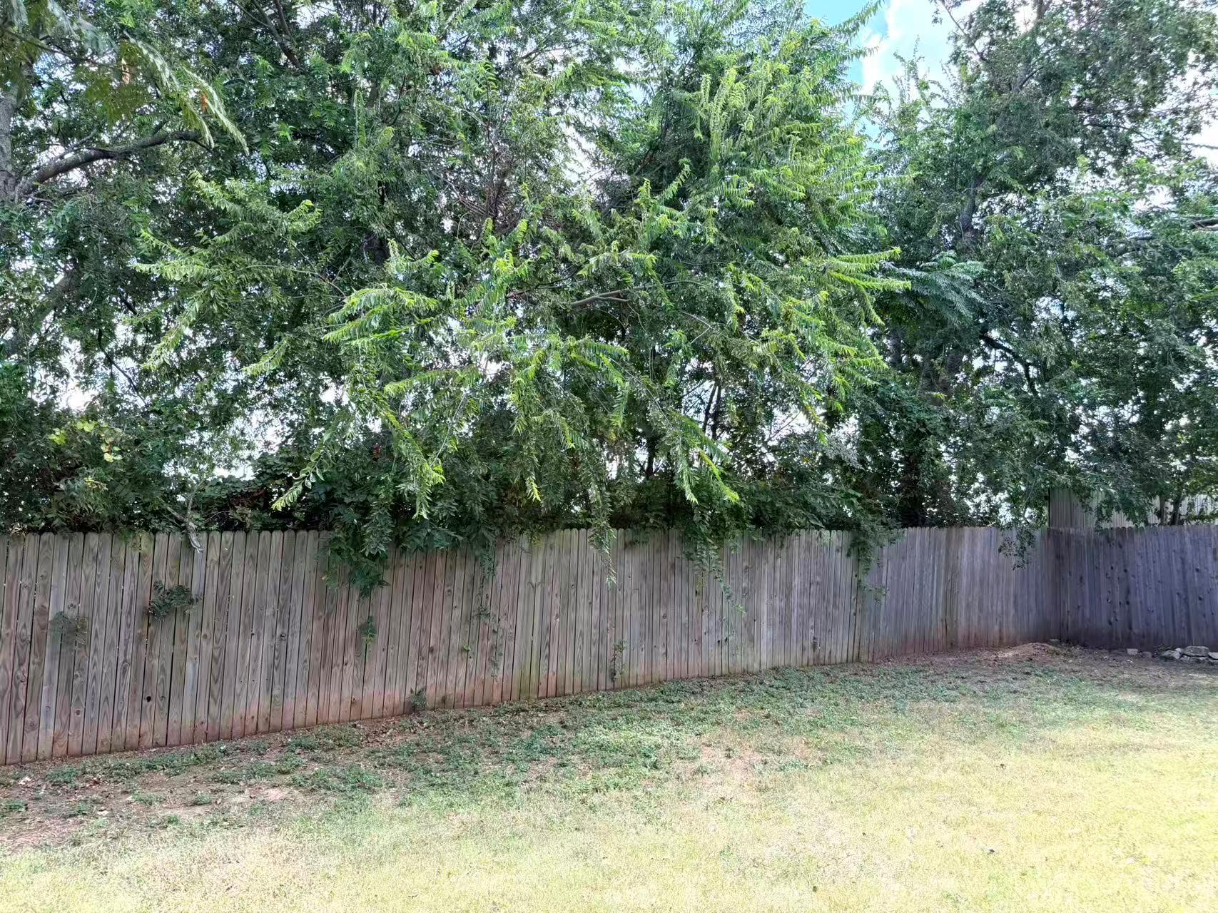 908 North Creek Blvd Property Photo 21
