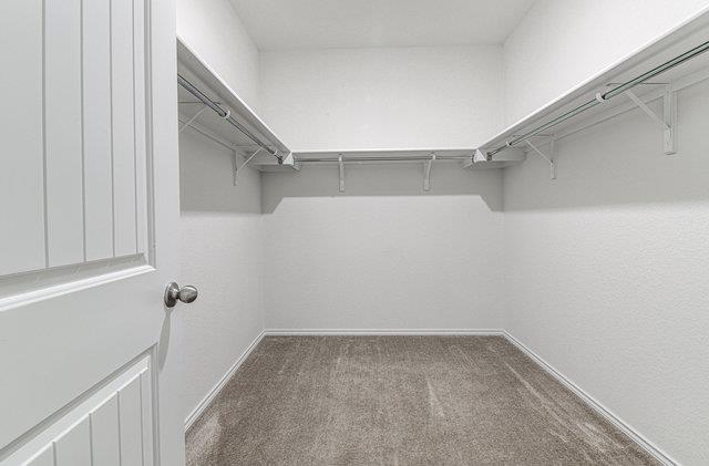 1237 Volente Ln Property Photo 17