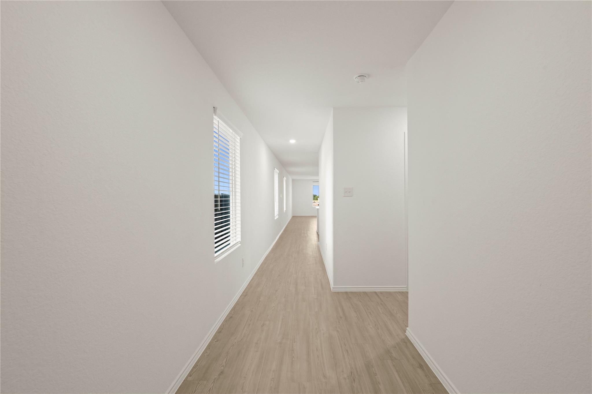 408 Texas Angel Way Property Photo 3