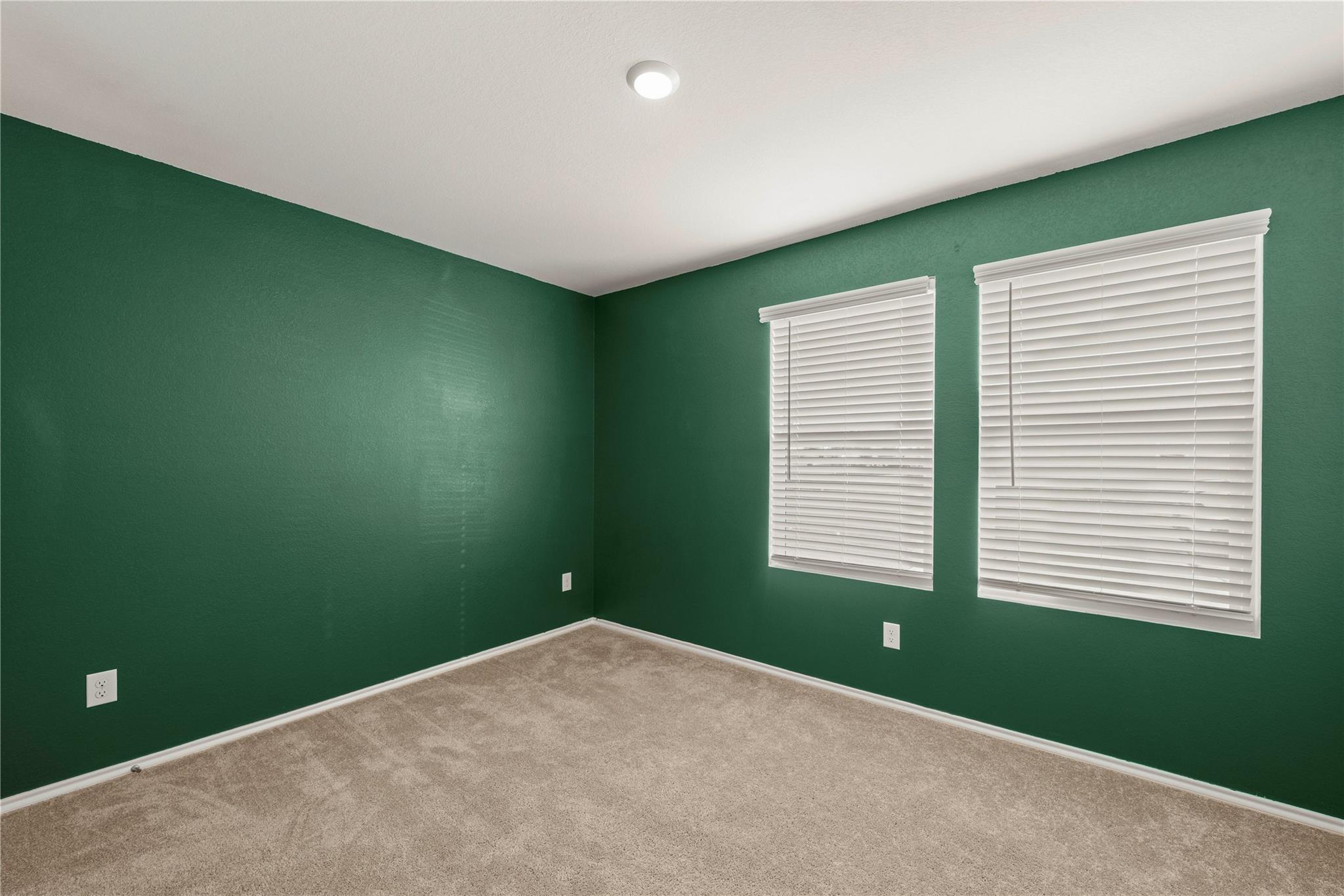 408 Texas Angel Way Property Photo 11