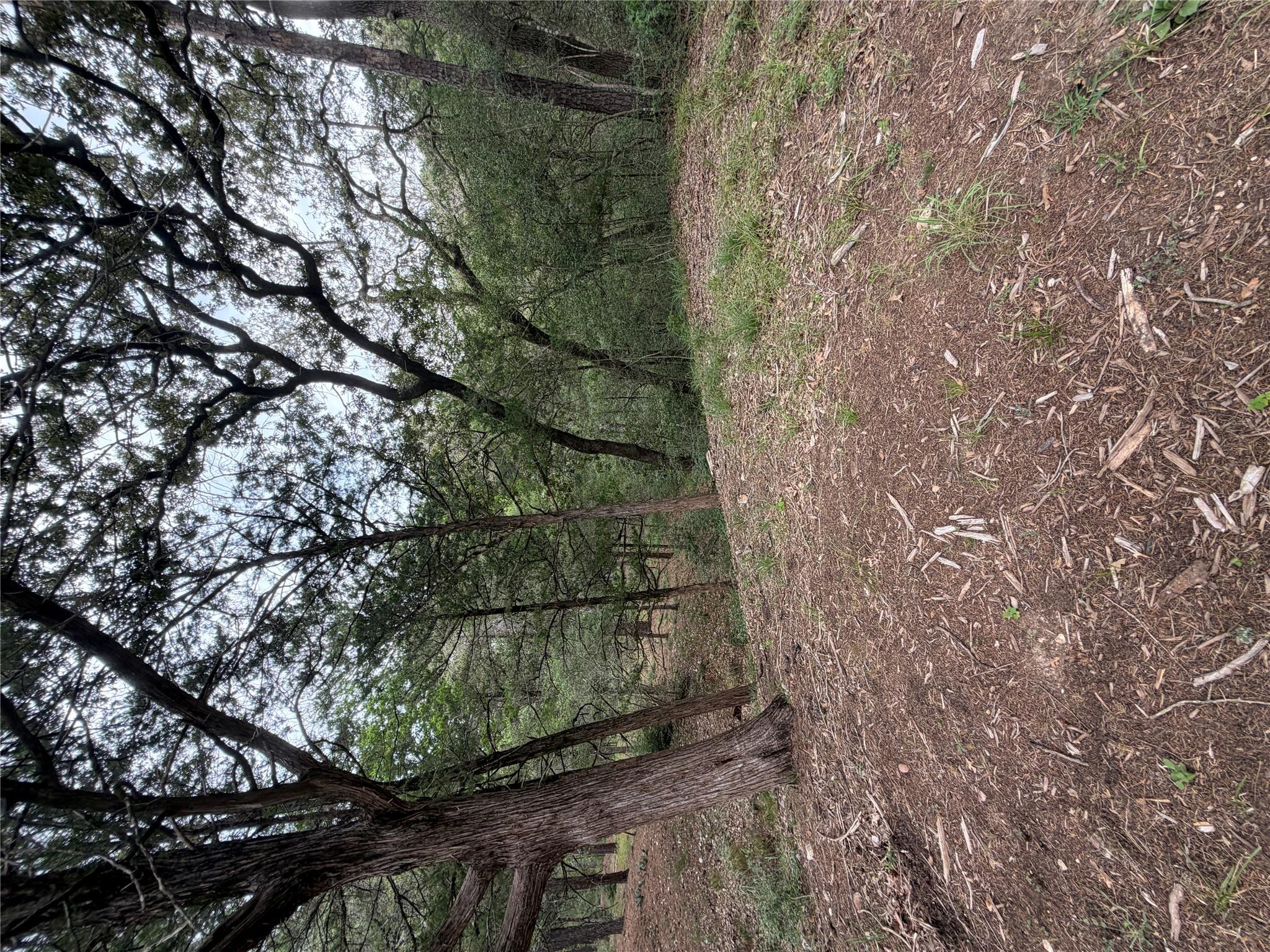Lot 293 Aka Ct Property Photo 1
