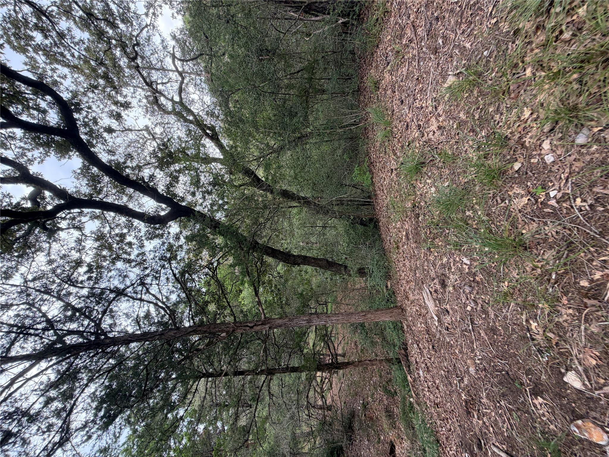 Lot 293 Aka Ct Property Photo 2
