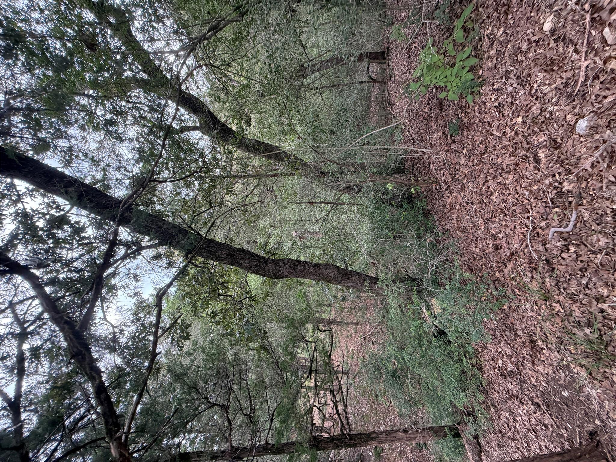 Lot 293 Aka Ct Property Photo 3