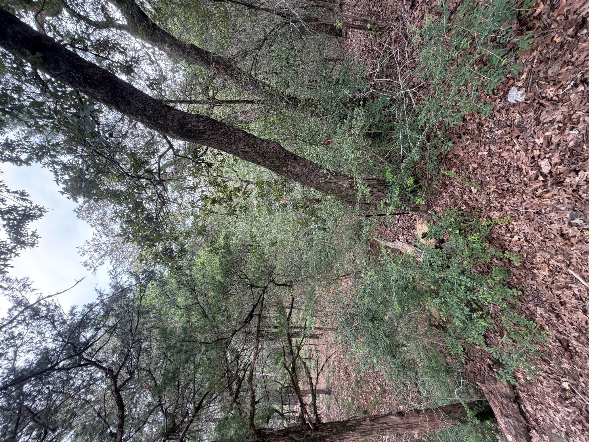 Lot 293 Aka Ct Property Photo 4