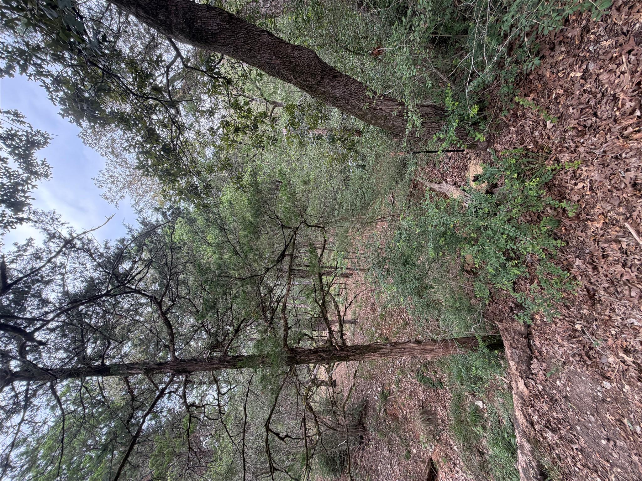 Lot 293 Aka Ct Property Photo 5