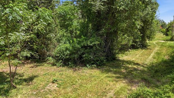 731 Stokes St Property Photo 8