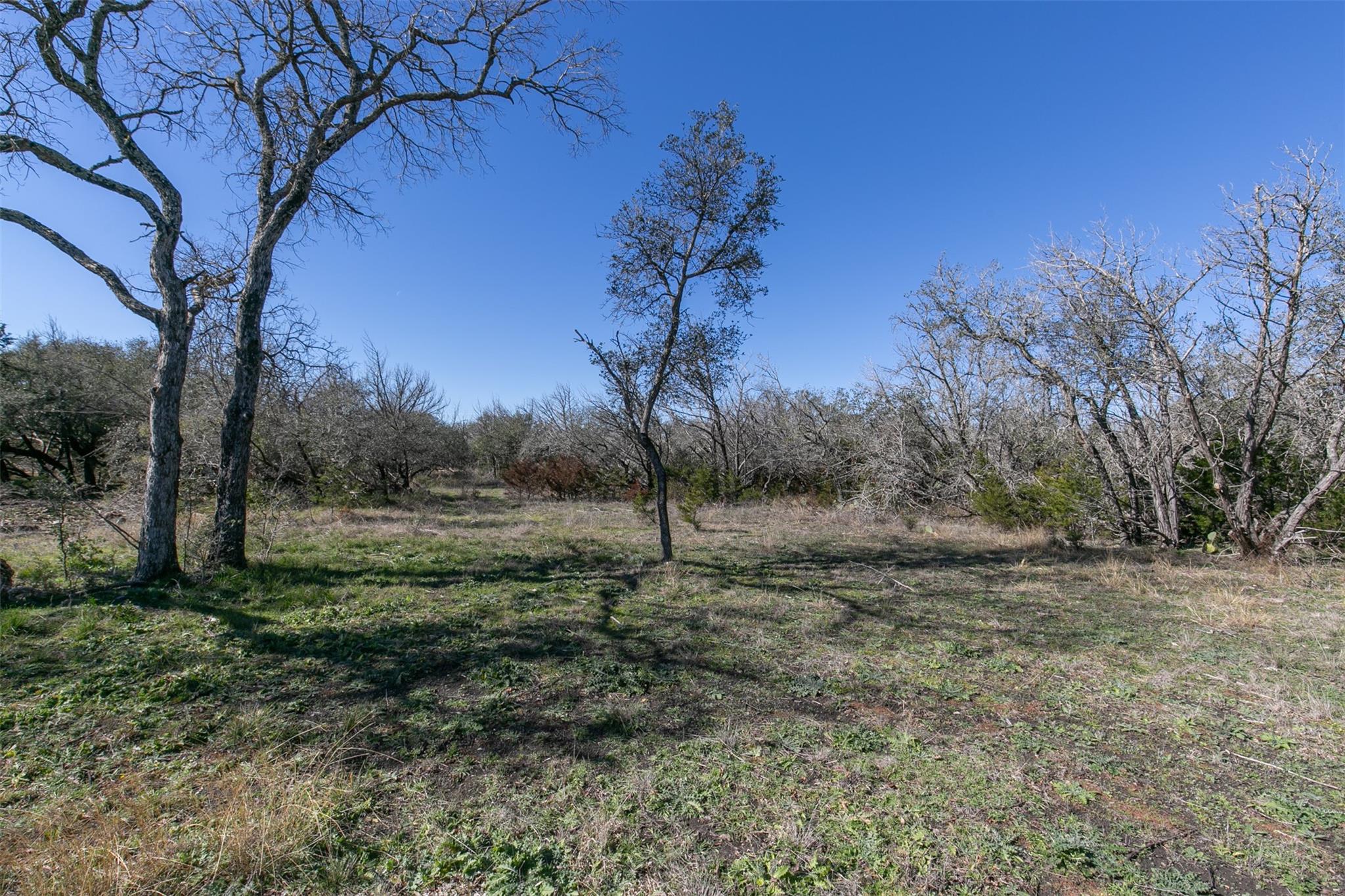 392 N Oak Vista Dr Property Photo 25