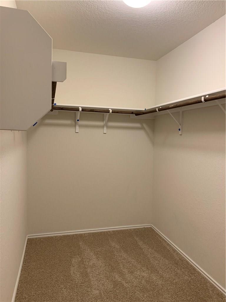 15109 Custis Ln Property Photo 18