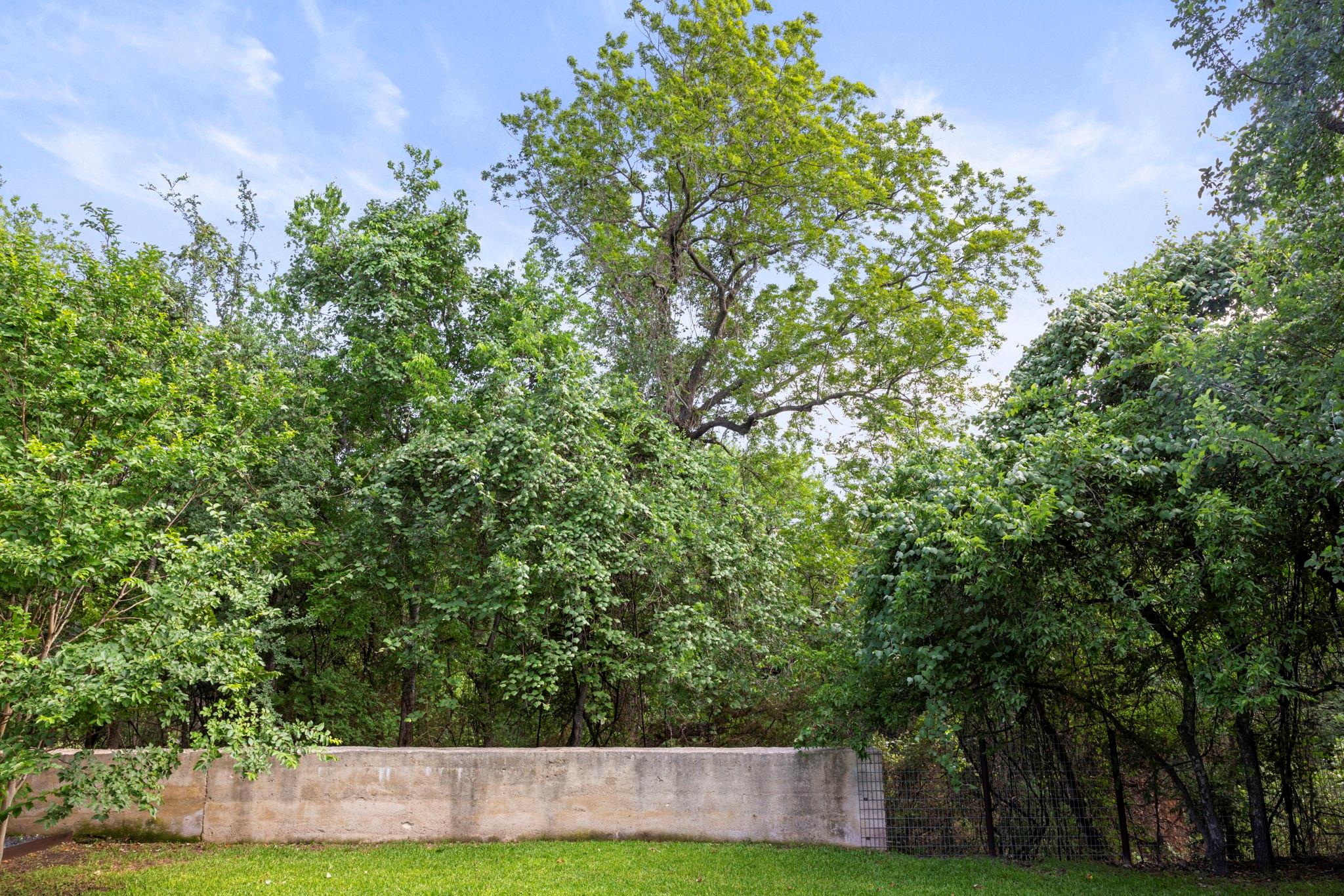 1111 Cimarron Ranch Rd Property Photo 24