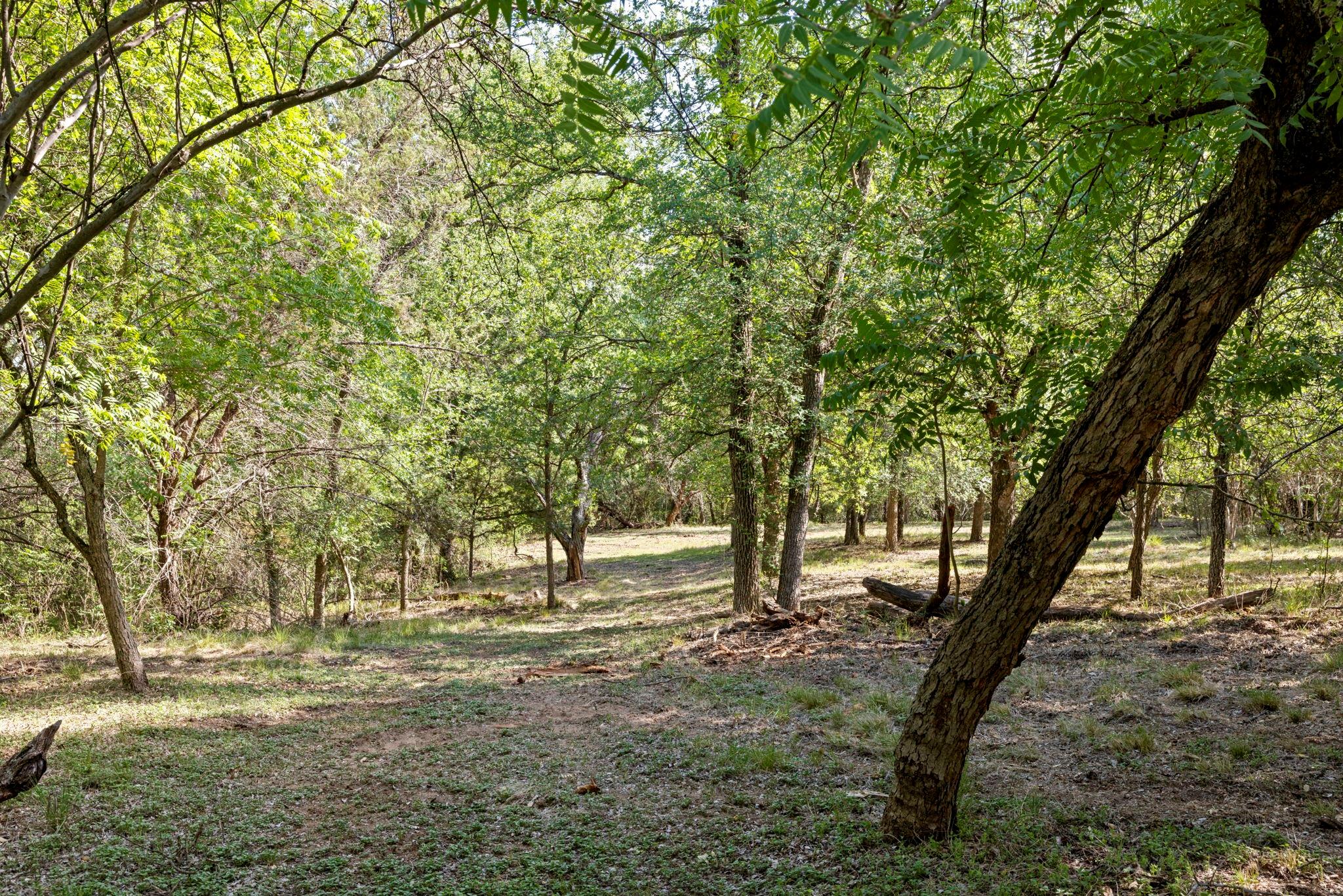 1111 Cimarron Ranch Rd Property Photo 27