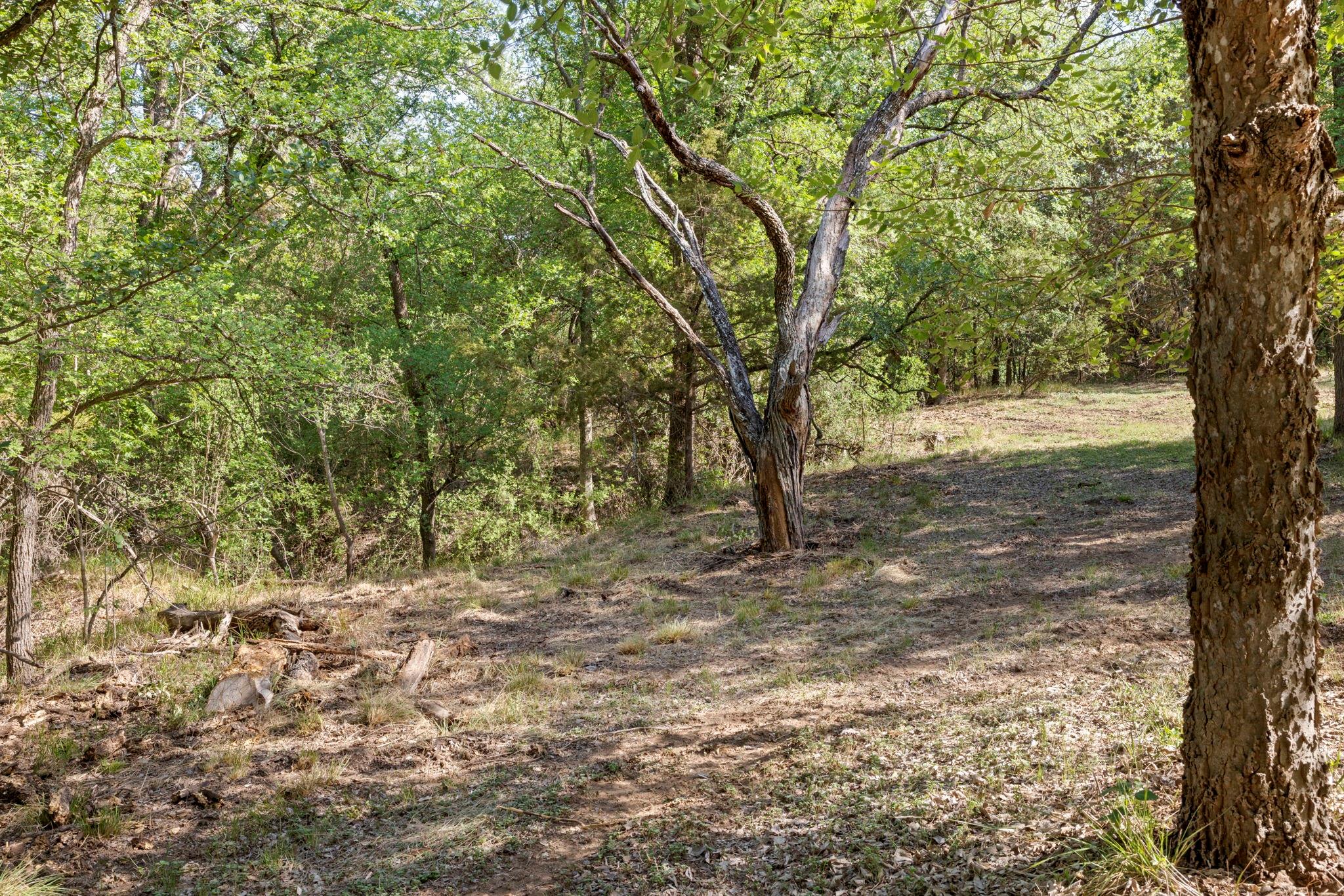 1111 Cimarron Ranch Rd Property Photo 28