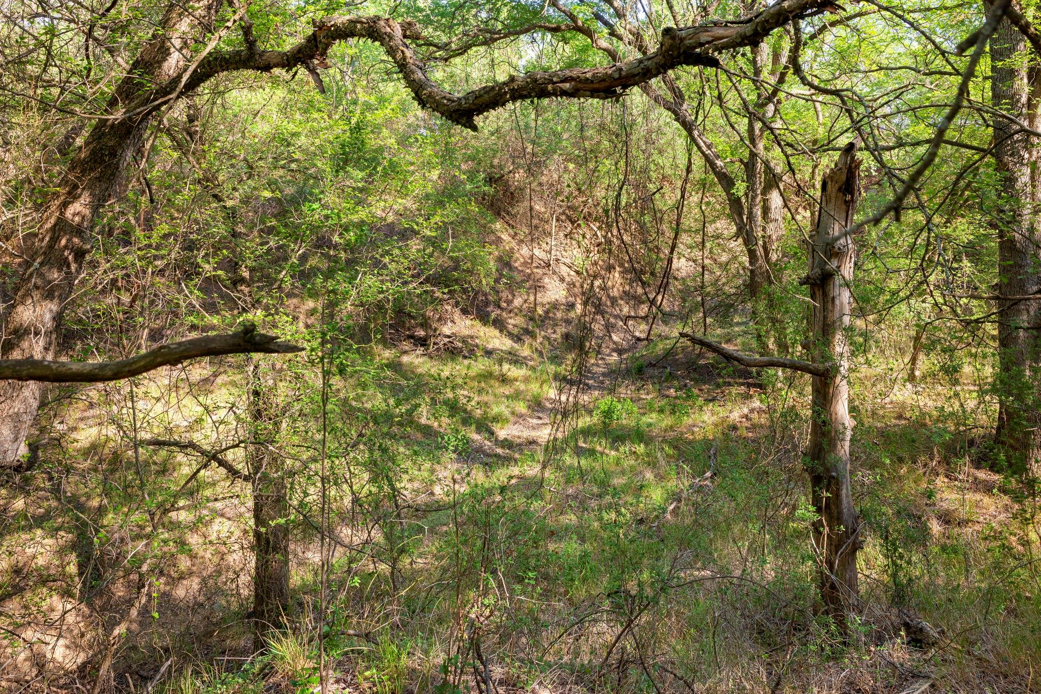 1111 Cimarron Ranch Rd Property Photo 30