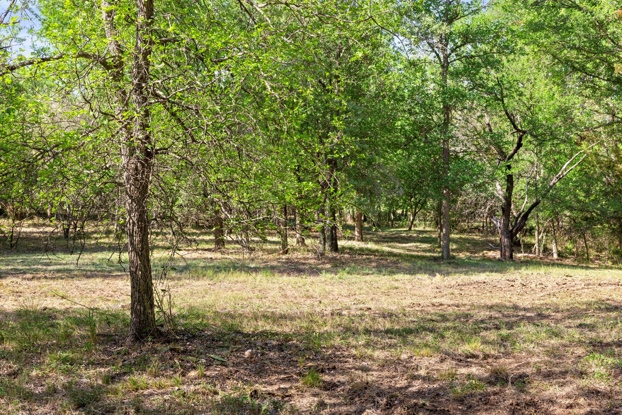 1111 Cimarron Ranch Rd Property Photo 31
