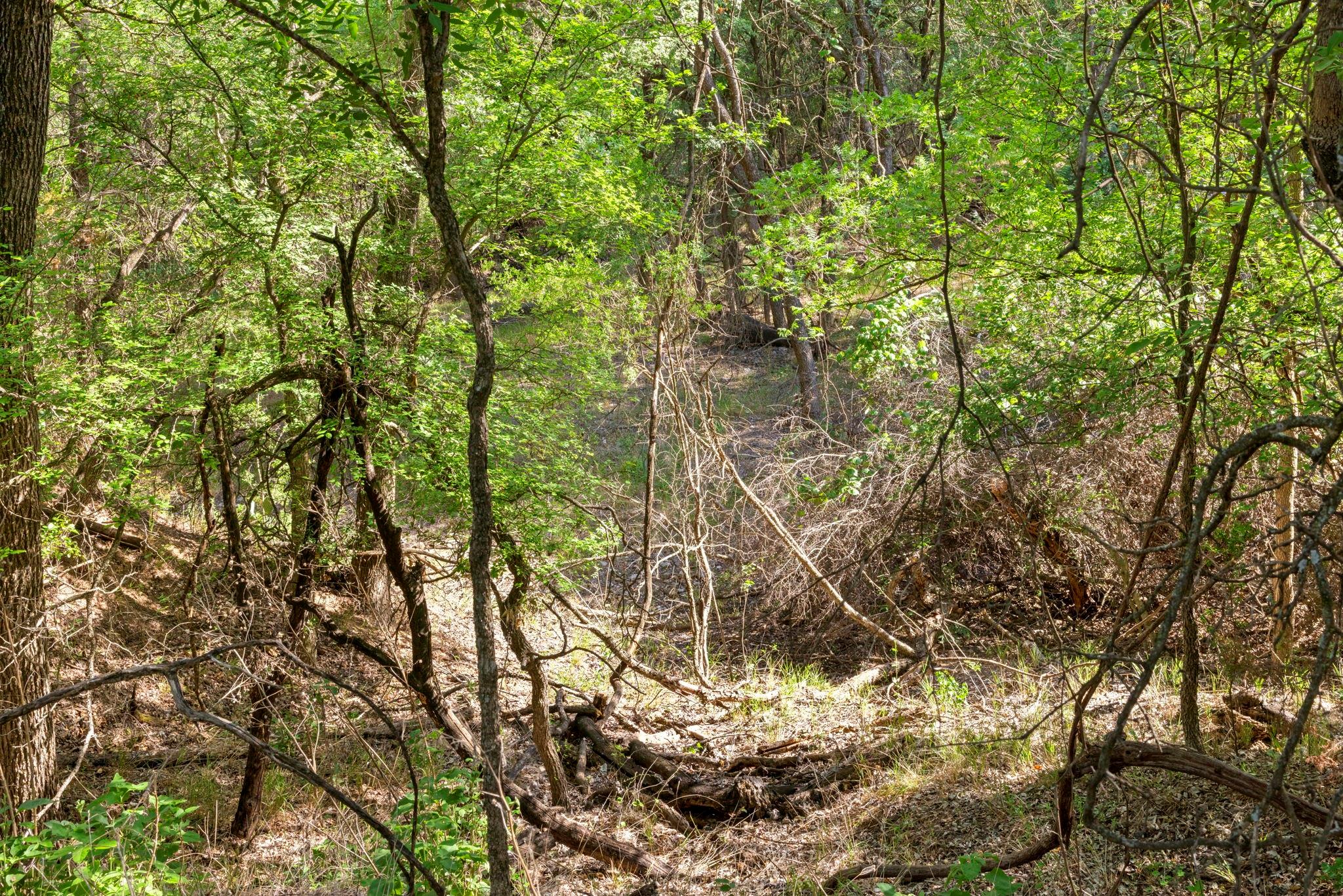 1111 Cimarron Ranch Rd Property Photo 32