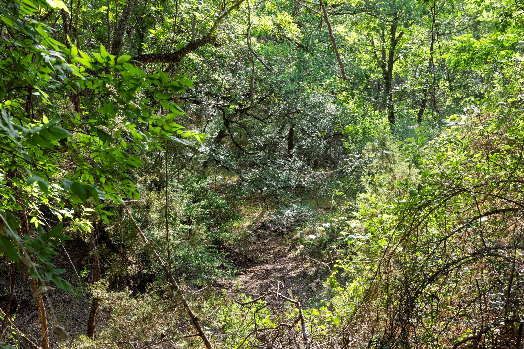 1111 Cimarron Ranch Rd Property Photo 35