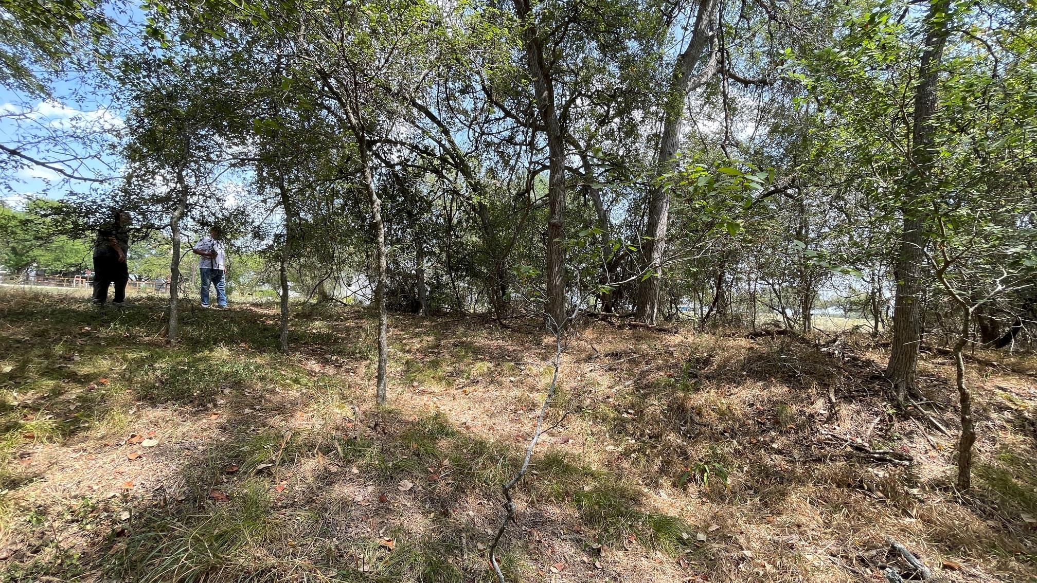 109 Patti Cv S Property Photo 5