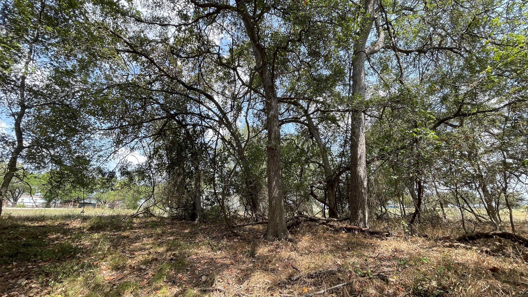 109 Patti Cv S Property Photo 6