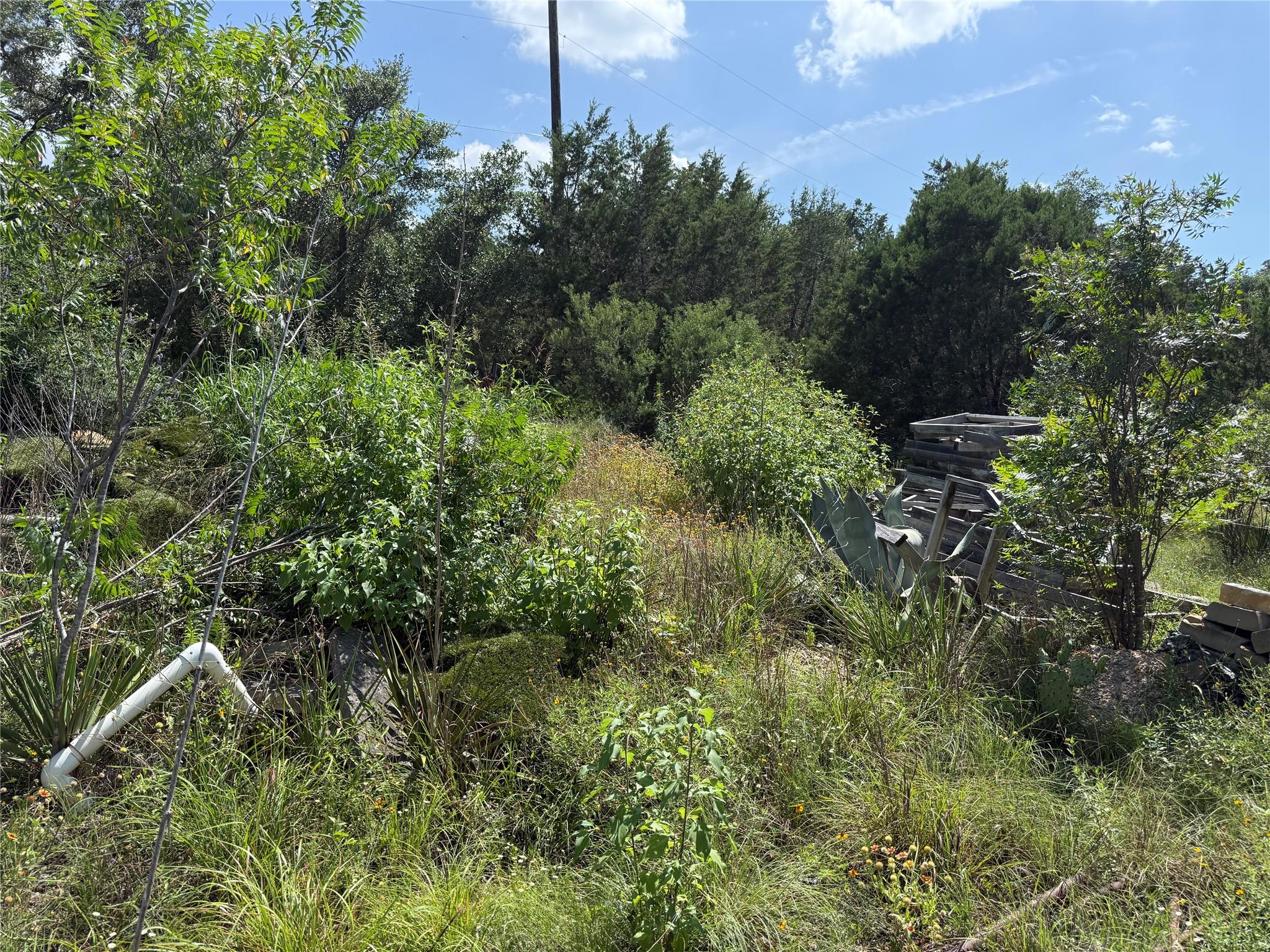 18402 Roundrock Rd Property Photo 6
