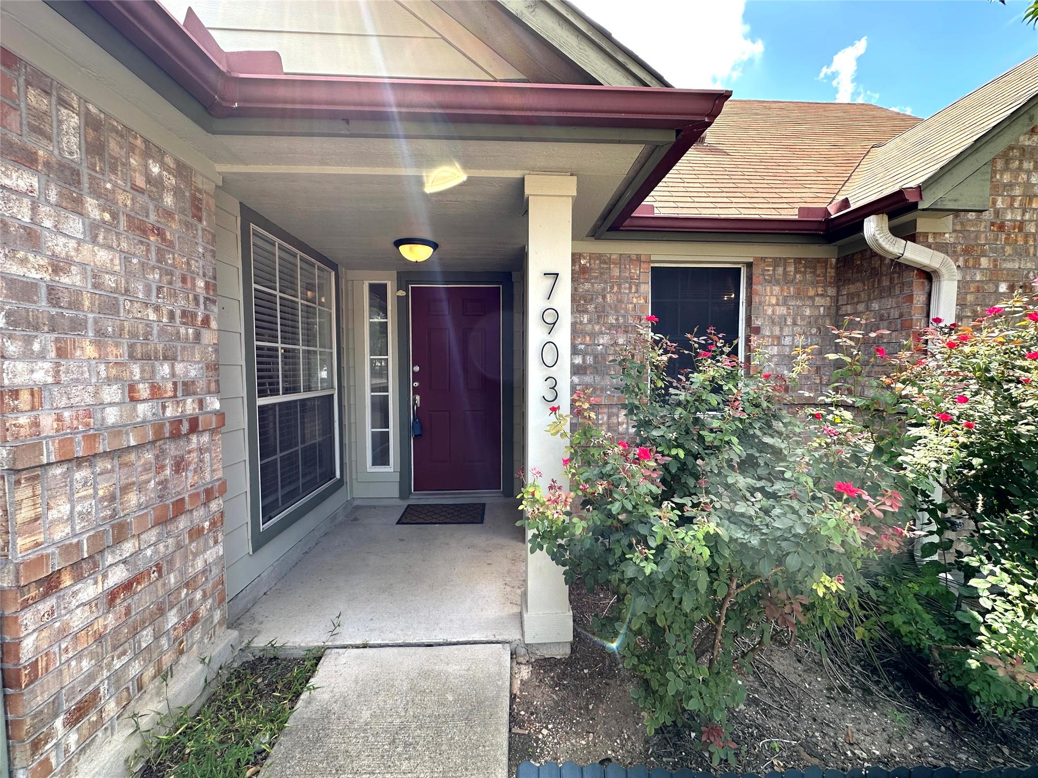 7903 Tiger Eye Cv Property Photo 3