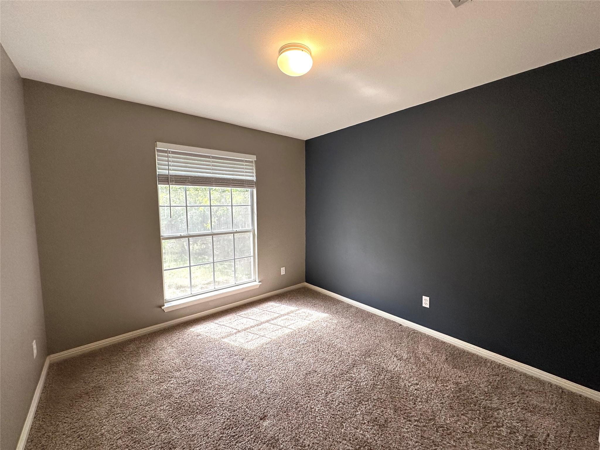 7903 Tiger Eye Cv Property Photo 18