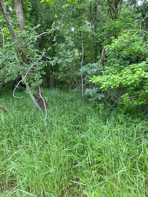 Lot 812 Kaukonahua Ln Property Photo 2