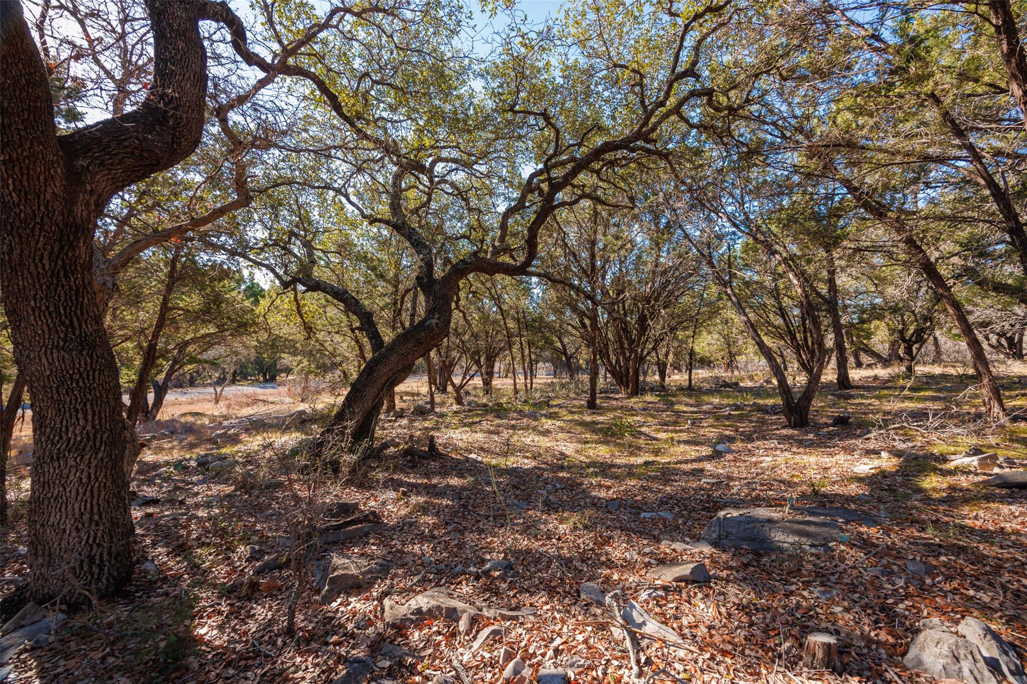 2904 Dew Drop Property Photo 2