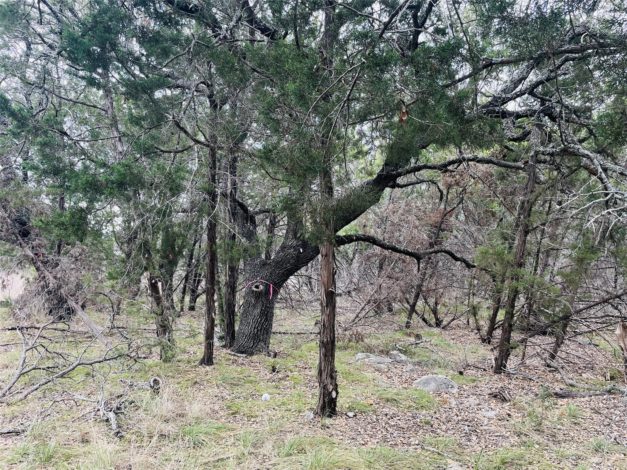 2904 Dew Drop Property Photo 6