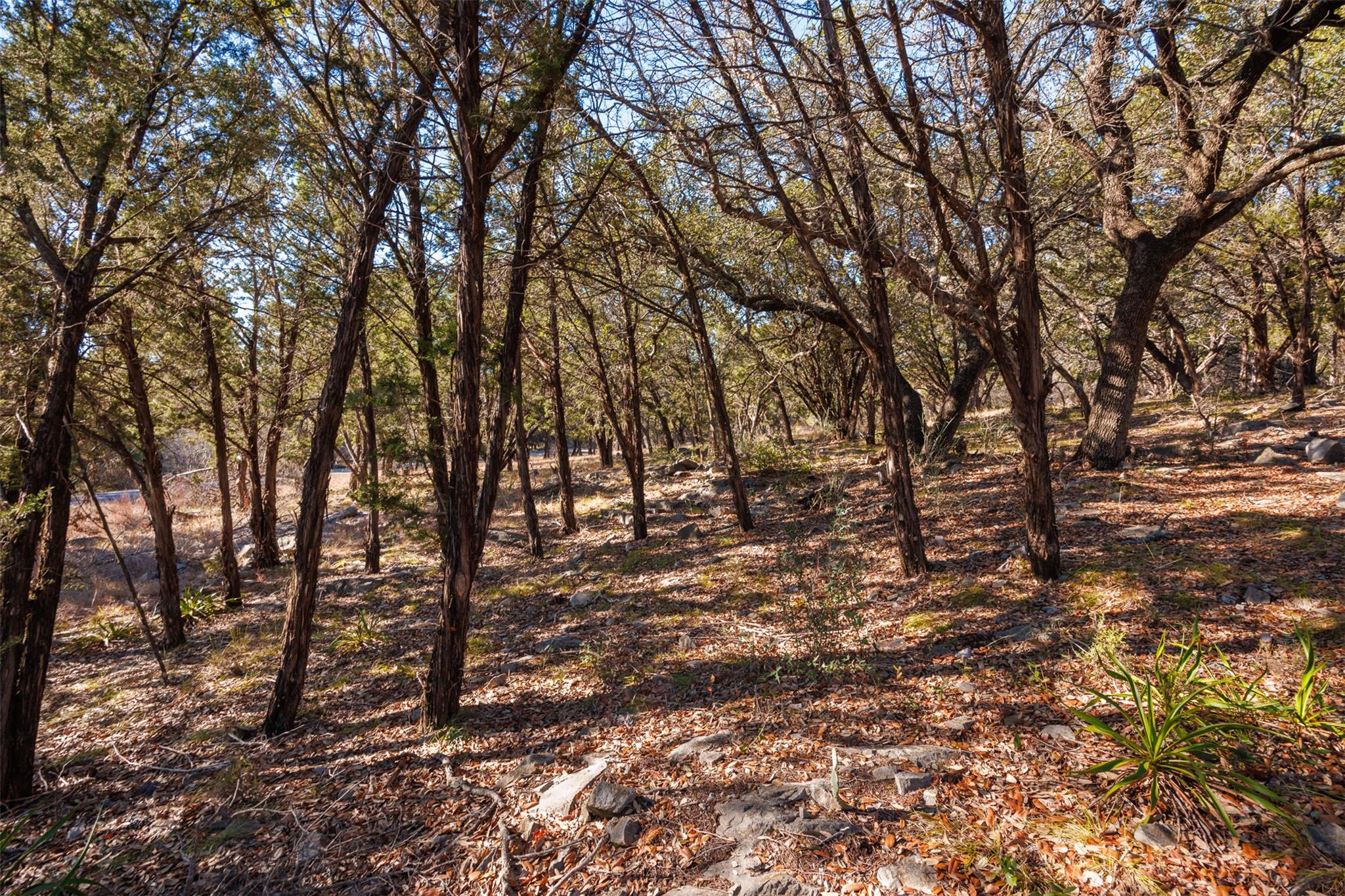 2904 Dew Drop Property Photo 9