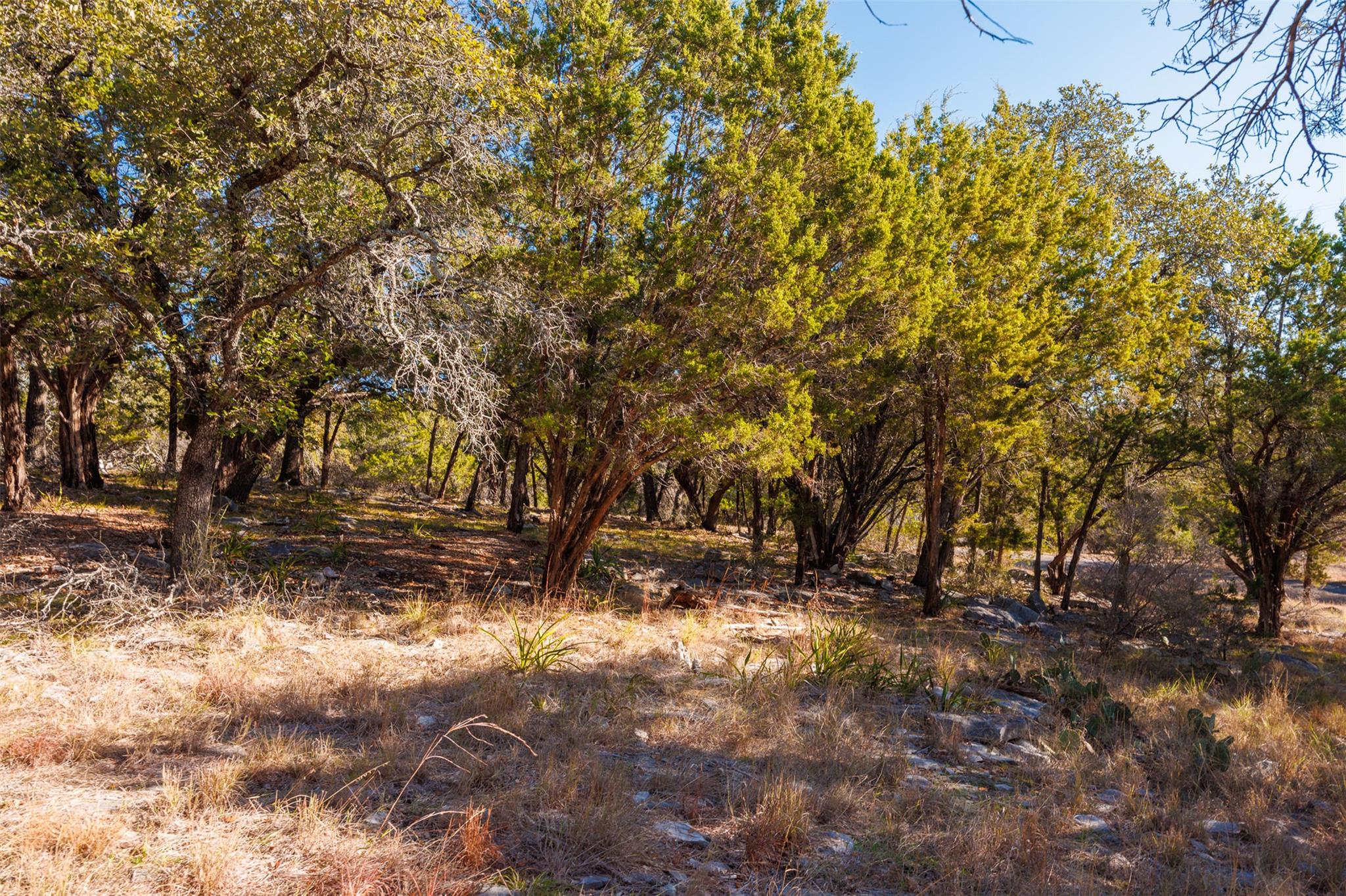 2904 Dew Drop Property Photo 10