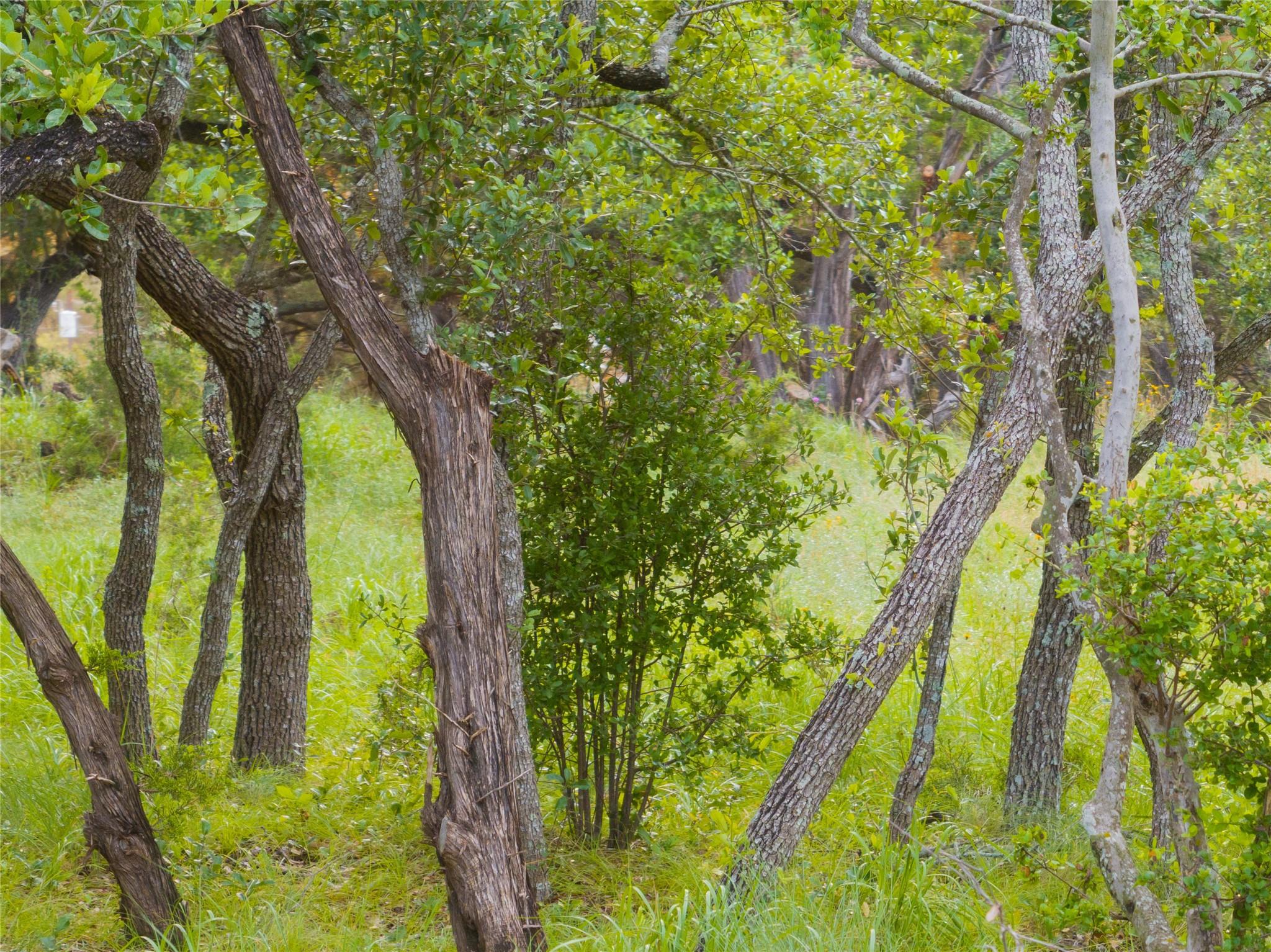 1026 Canyon Bend Dr Property Photo 2