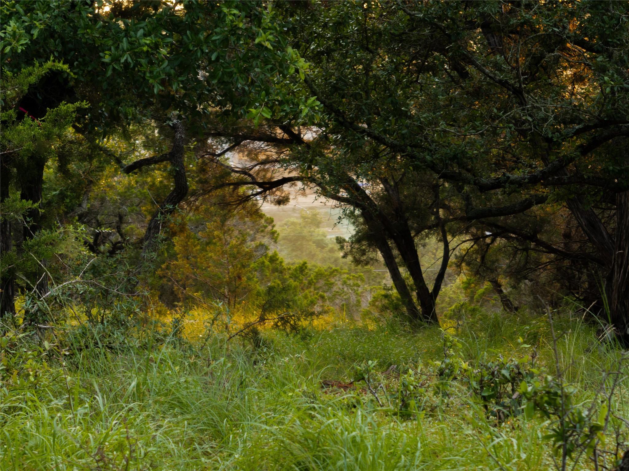 1026 Canyon Bend Dr Property Photo 3