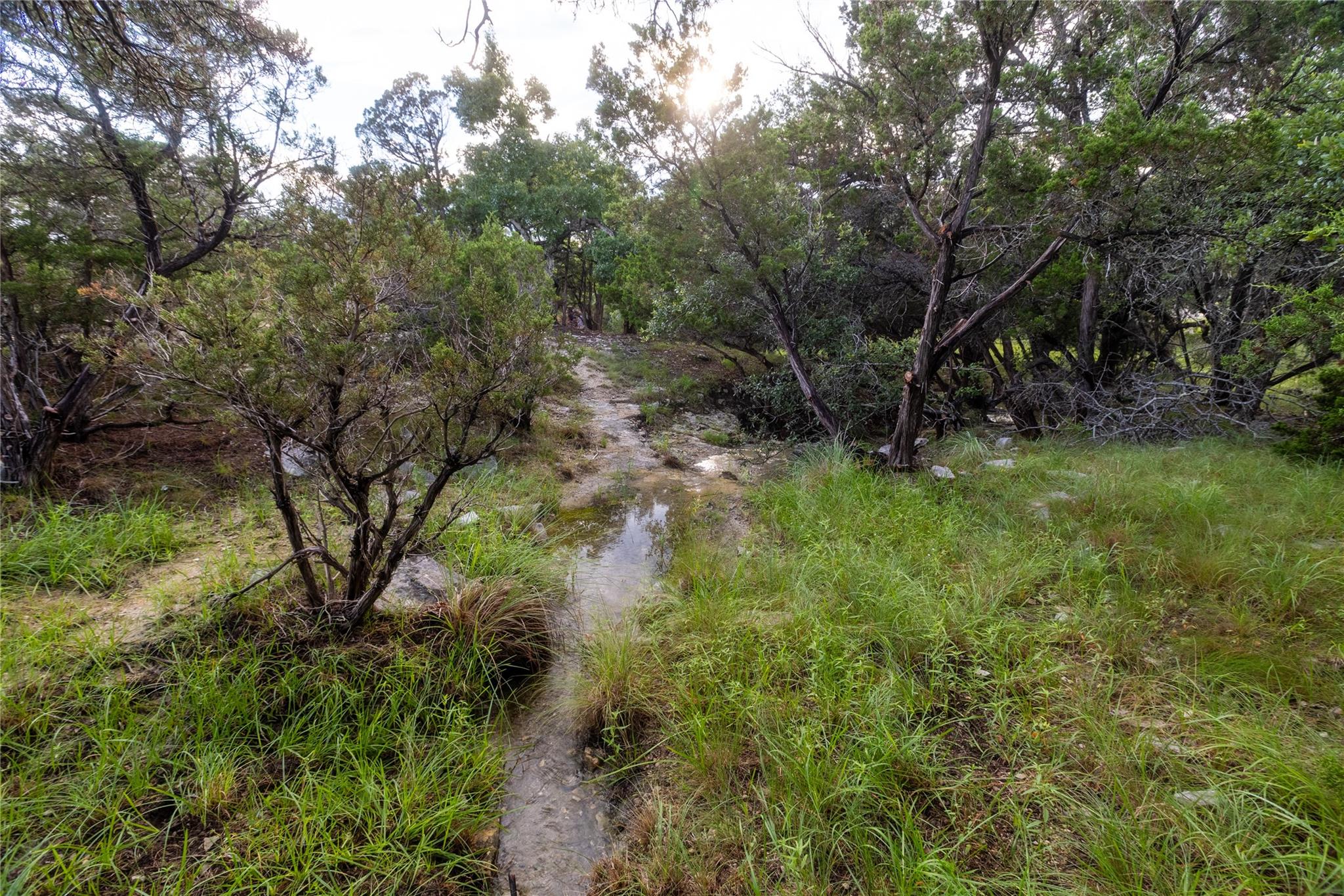 1026 Canyon Bend Dr Property Photo 7