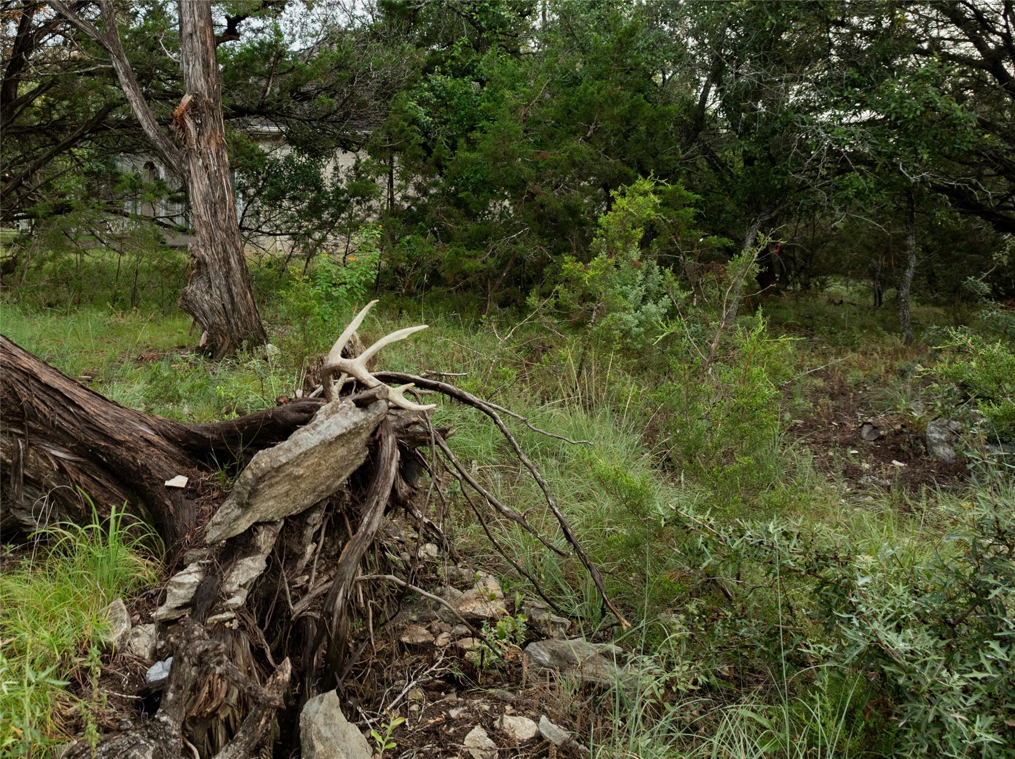 1026 Canyon Bend Dr Property Photo 9