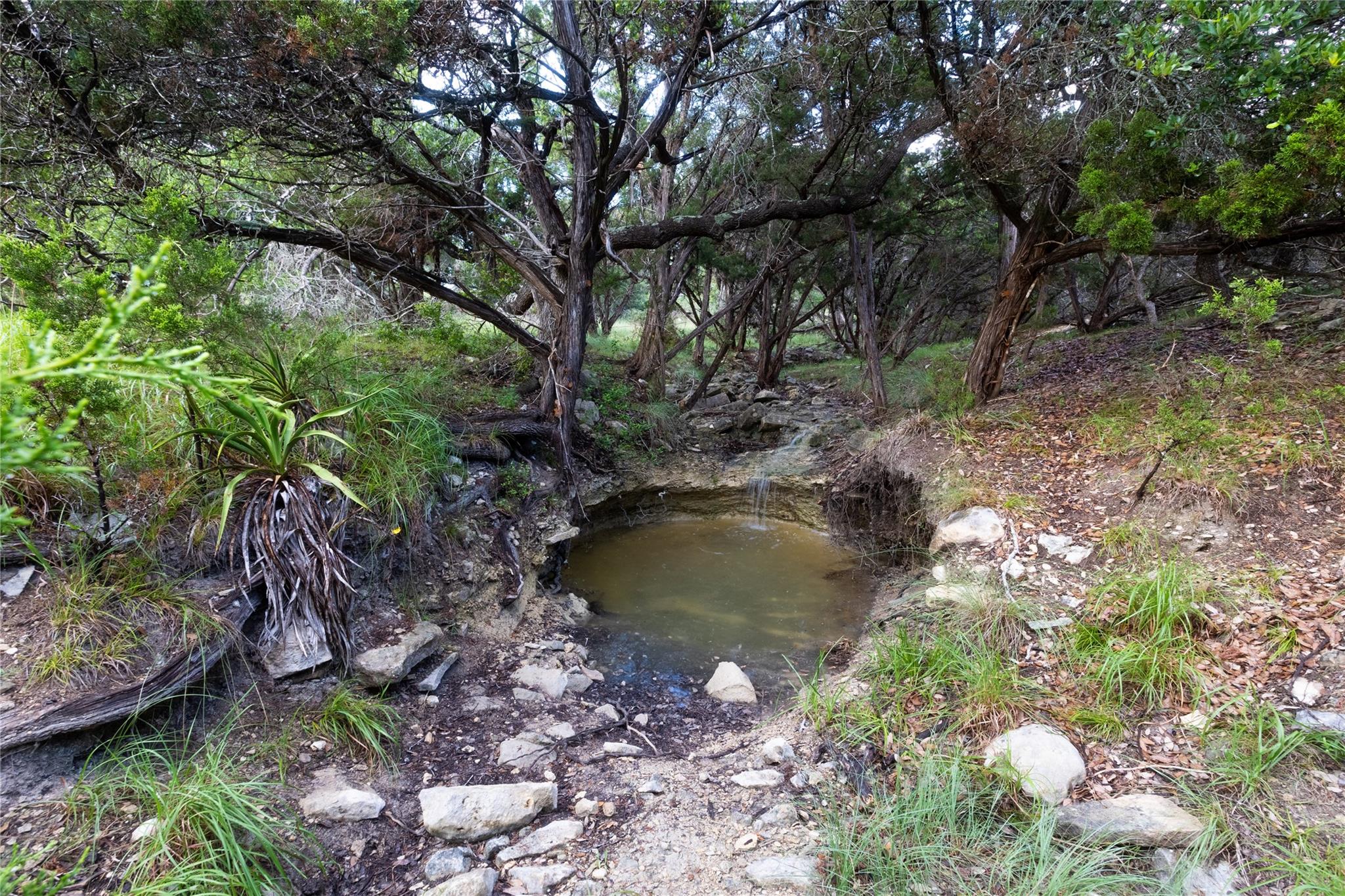 1026 Canyon Bend Dr Property Photo 10