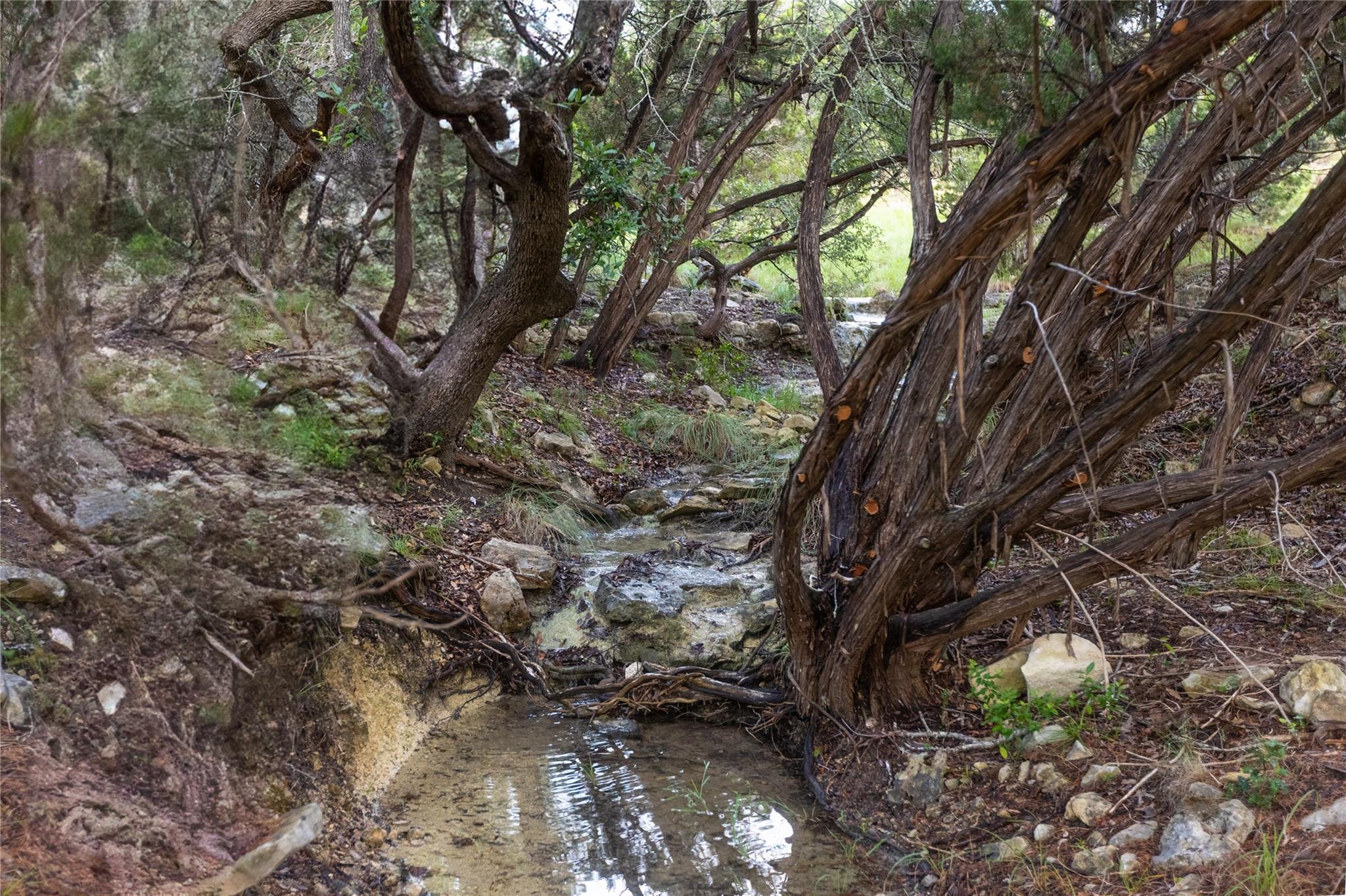 1026 Canyon Bend Dr Property Photo 14