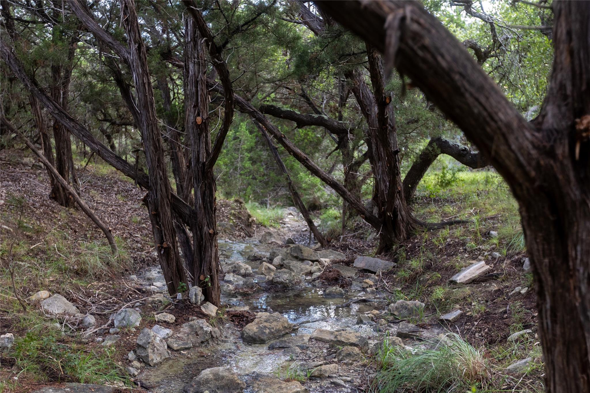 1026 Canyon Bend Dr Property Photo 15