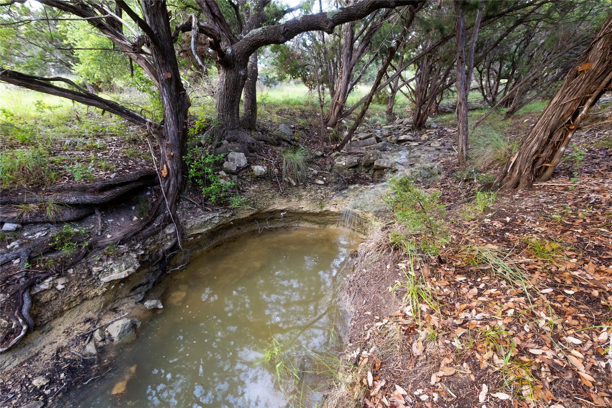1026 Canyon Bend Dr Property Photo 16