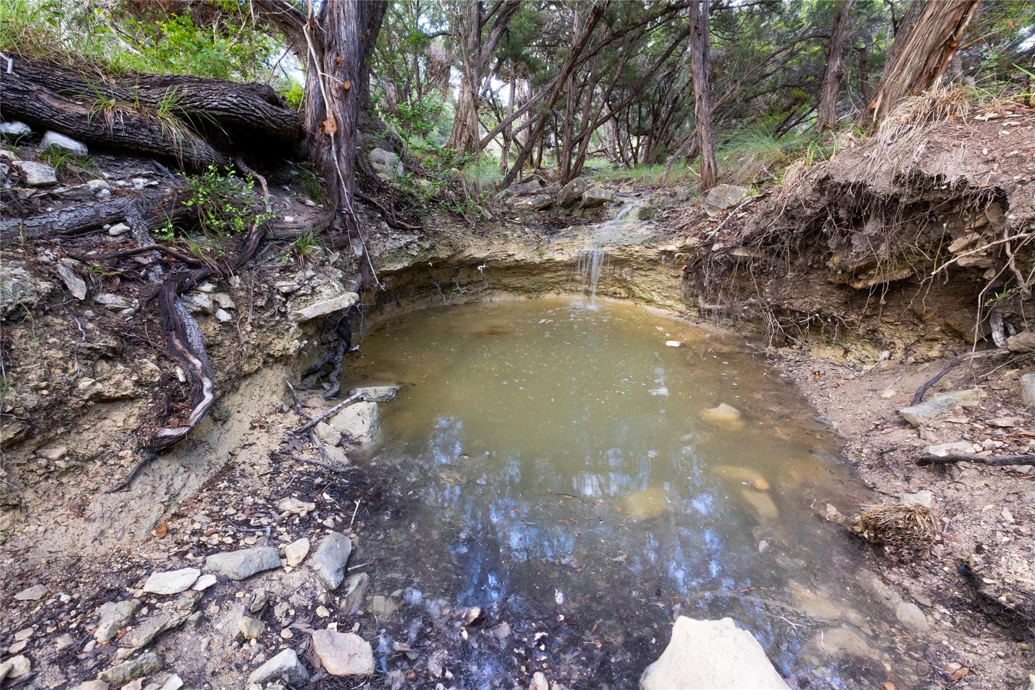 1026 Canyon Bend Dr Property Photo 17
