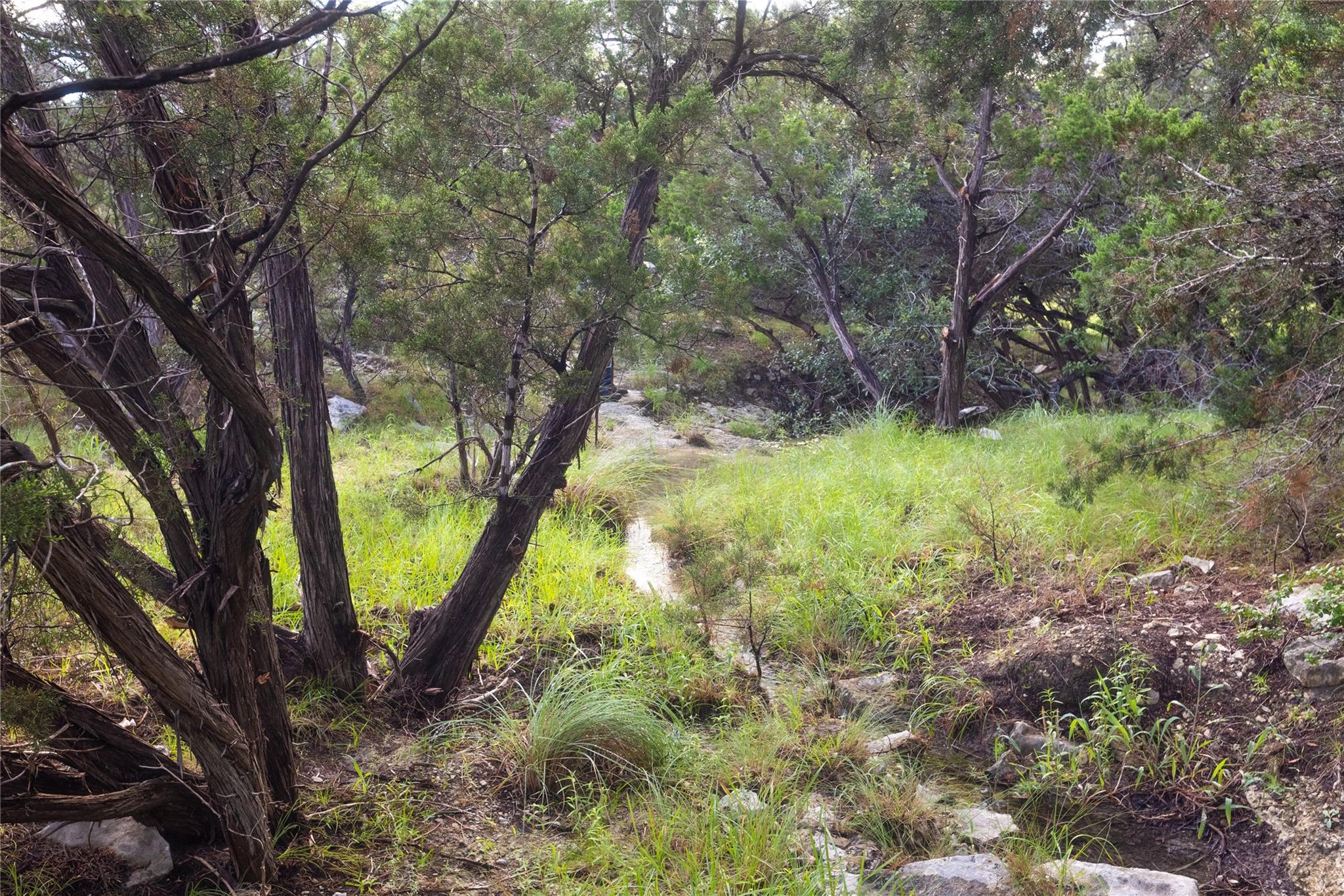 1026 Canyon Bend Dr Property Photo 22