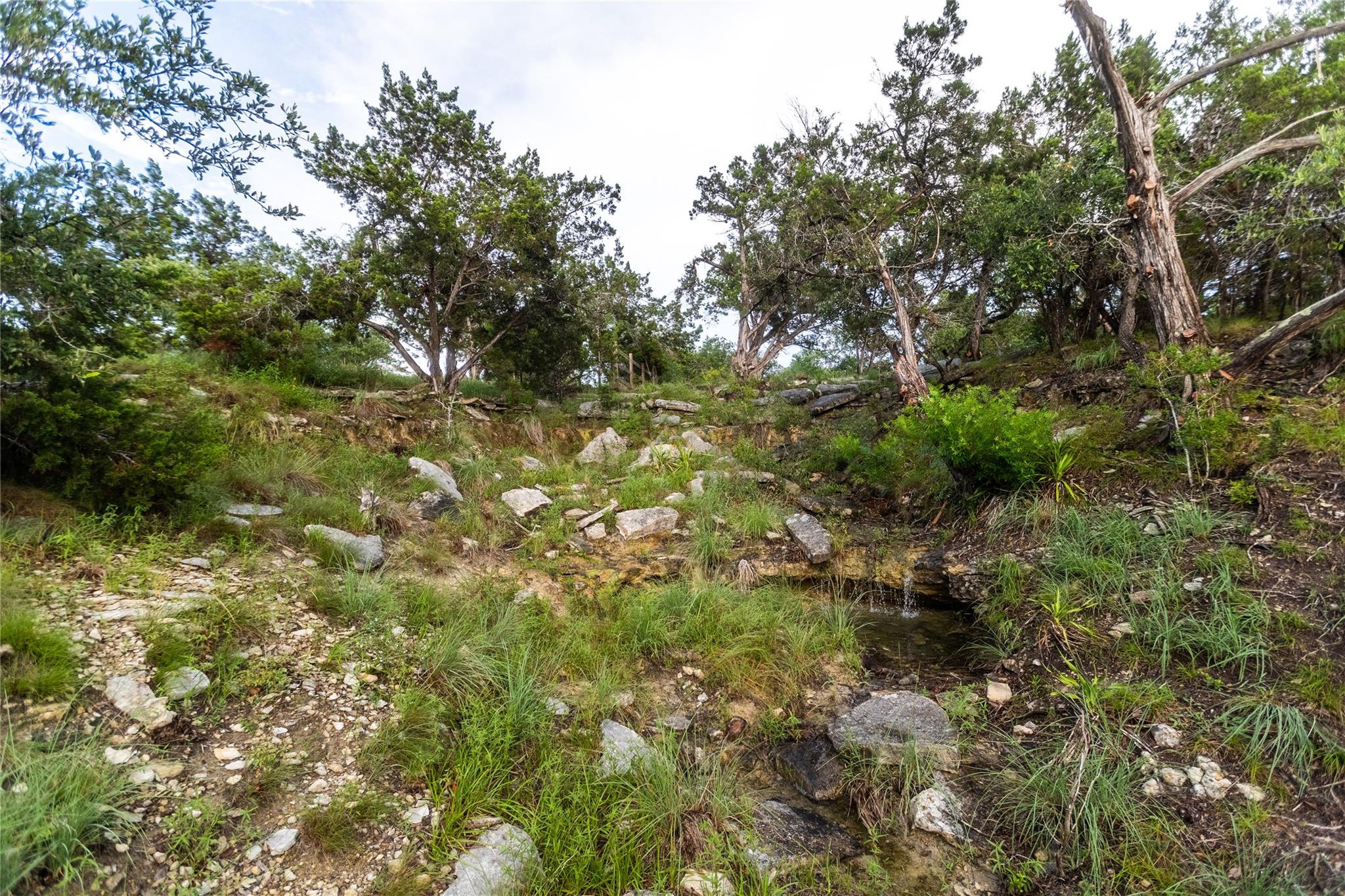 1026 Canyon Bend Dr Property Photo 23