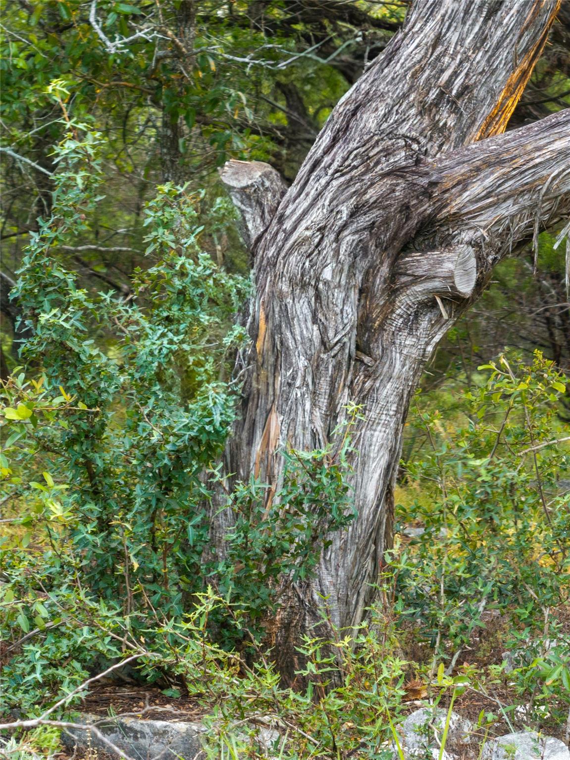 1026 Canyon Bend Dr Property Photo 28