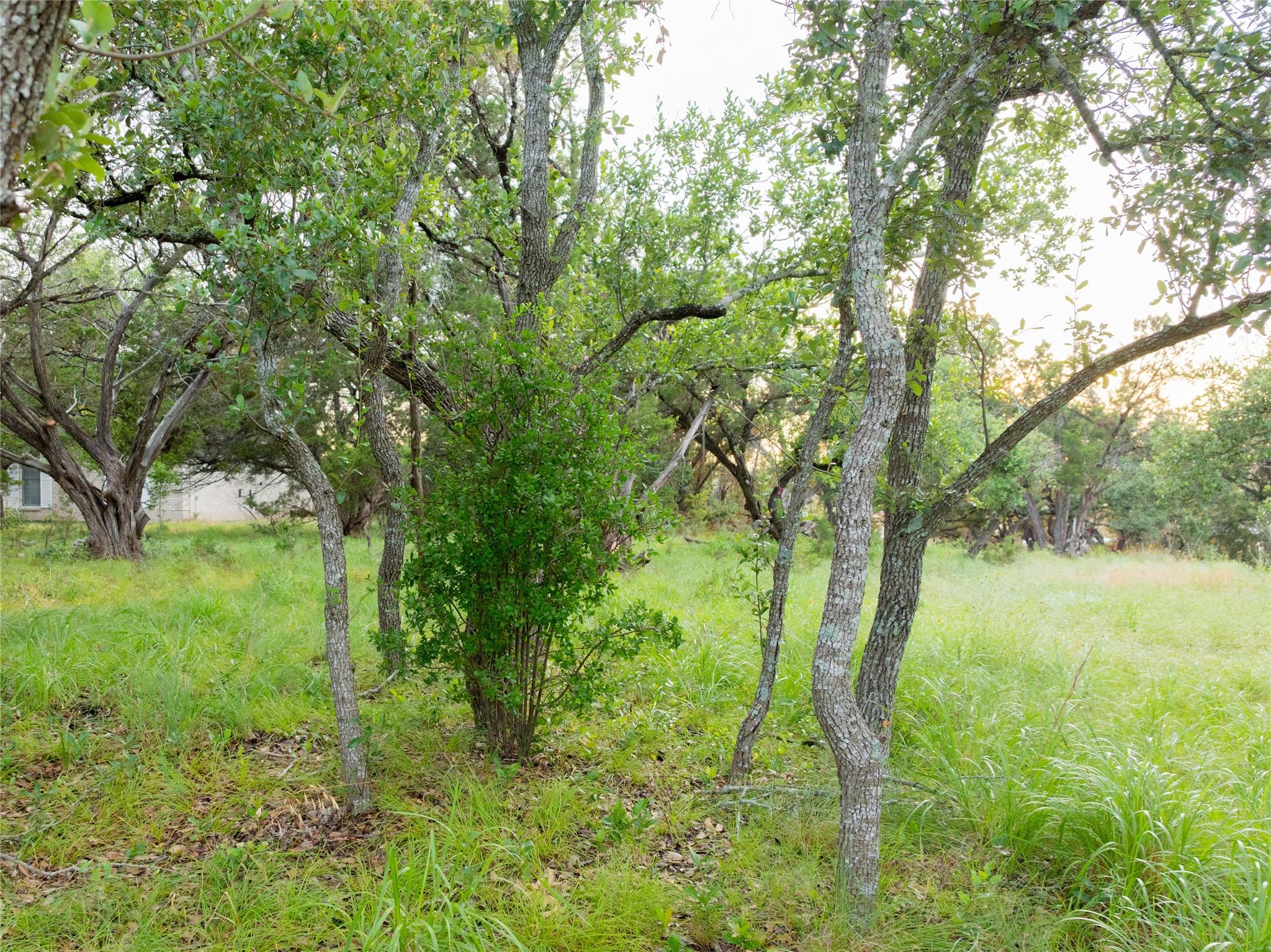 1026 Canyon Bend Dr Property Photo 30